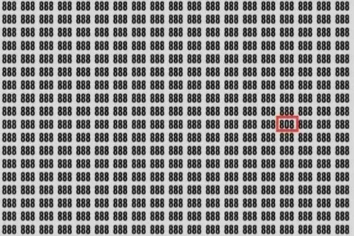 Odpoveď na hádanku / foto: Jagran Josh