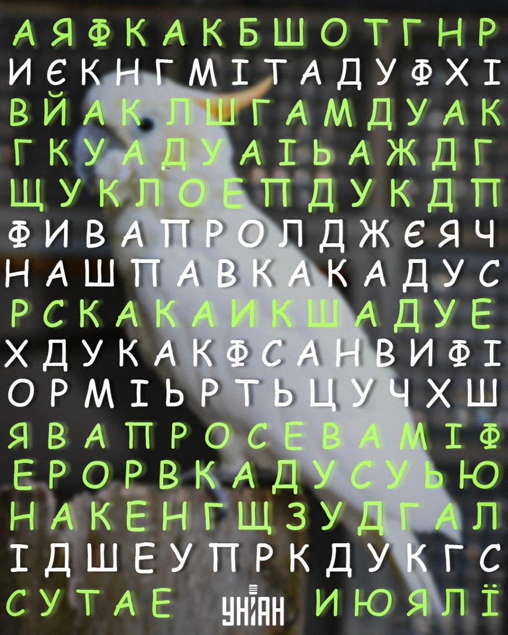 Koláž Moje Koláž Moje