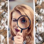 Každý vidí králiky, ale vy musíte nájsť 3 mačky za